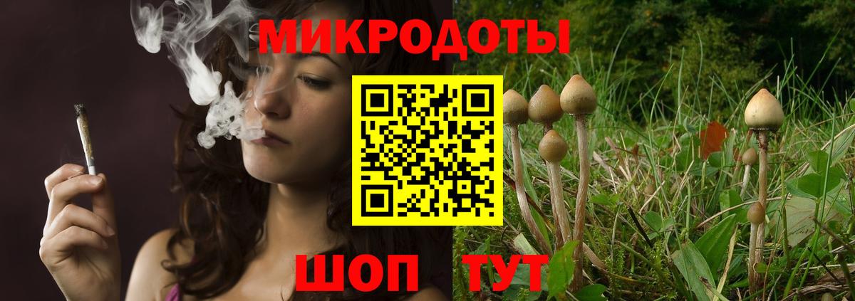 где купить наркотик  Вход с VPN  Аксай  Псилоцибиновые грибы прущие грибы 
